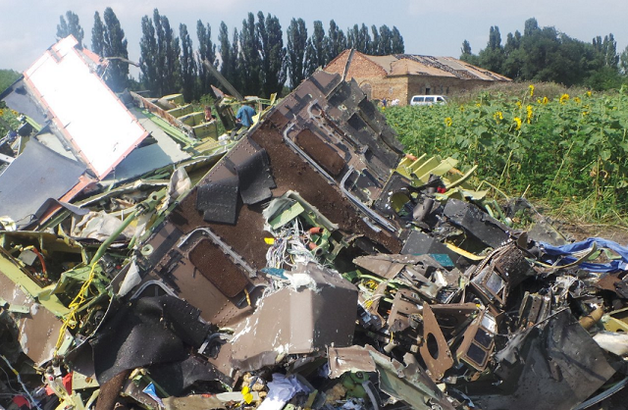 Forbes:     MH17